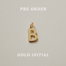 Load image into Gallery viewer, build your own charm necklace