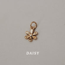 Load image into Gallery viewer, build your own charm bracelet