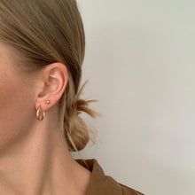 Load image into Gallery viewer, cecilia gold filled hoops