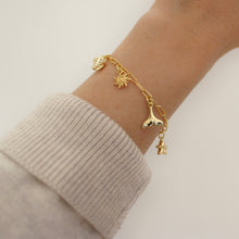 Load image into Gallery viewer, build your own charm bracelet
