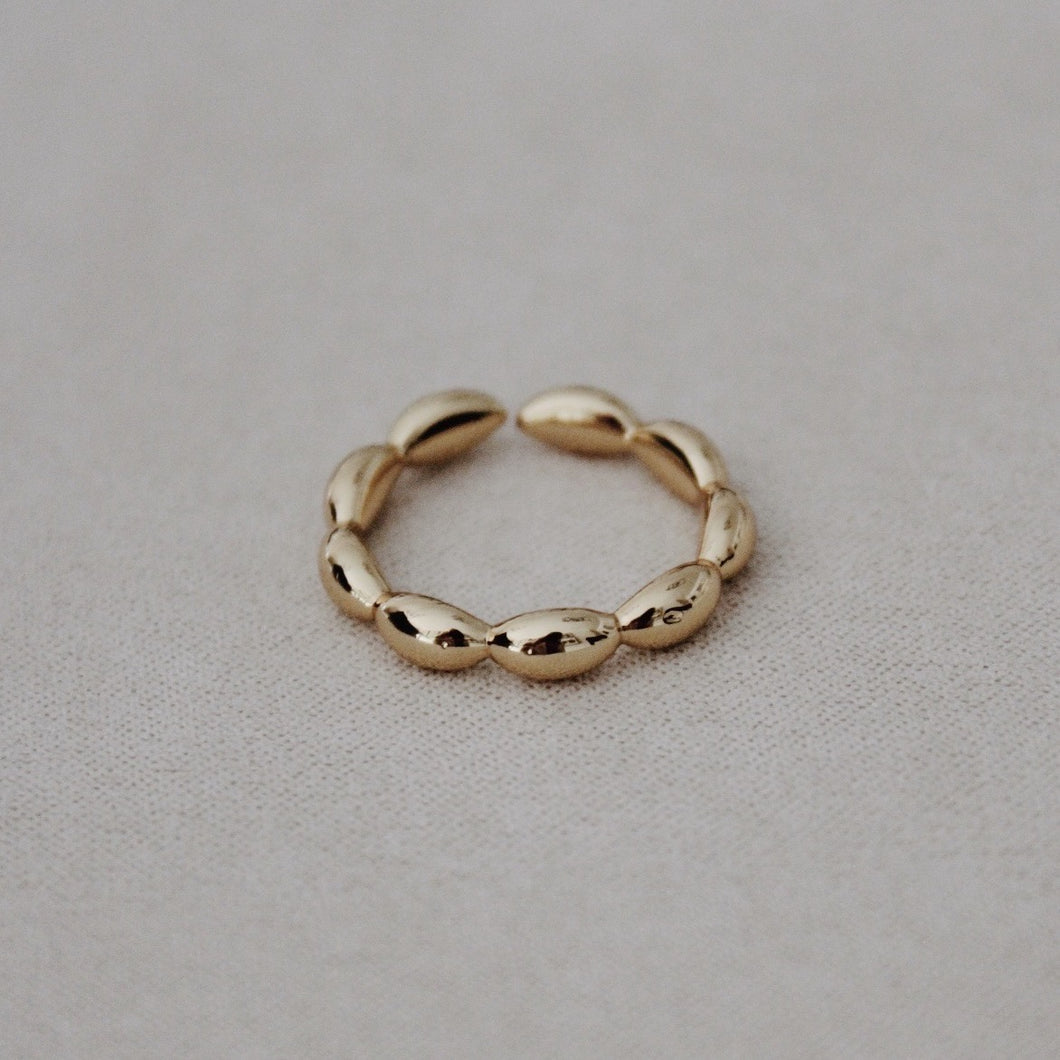 bubble ring