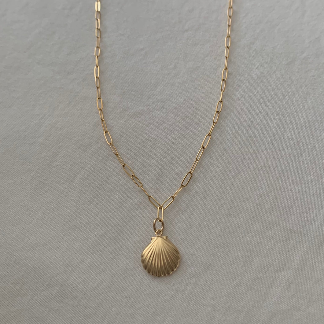 remi seashell necklace